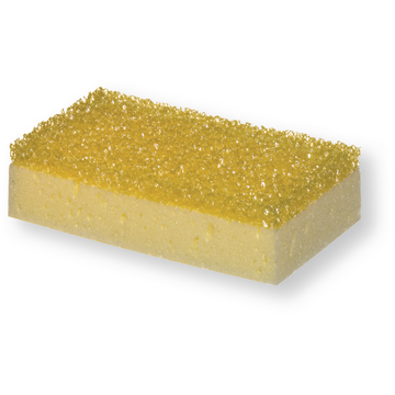 Car Sponge with Insect Residue Scraper
